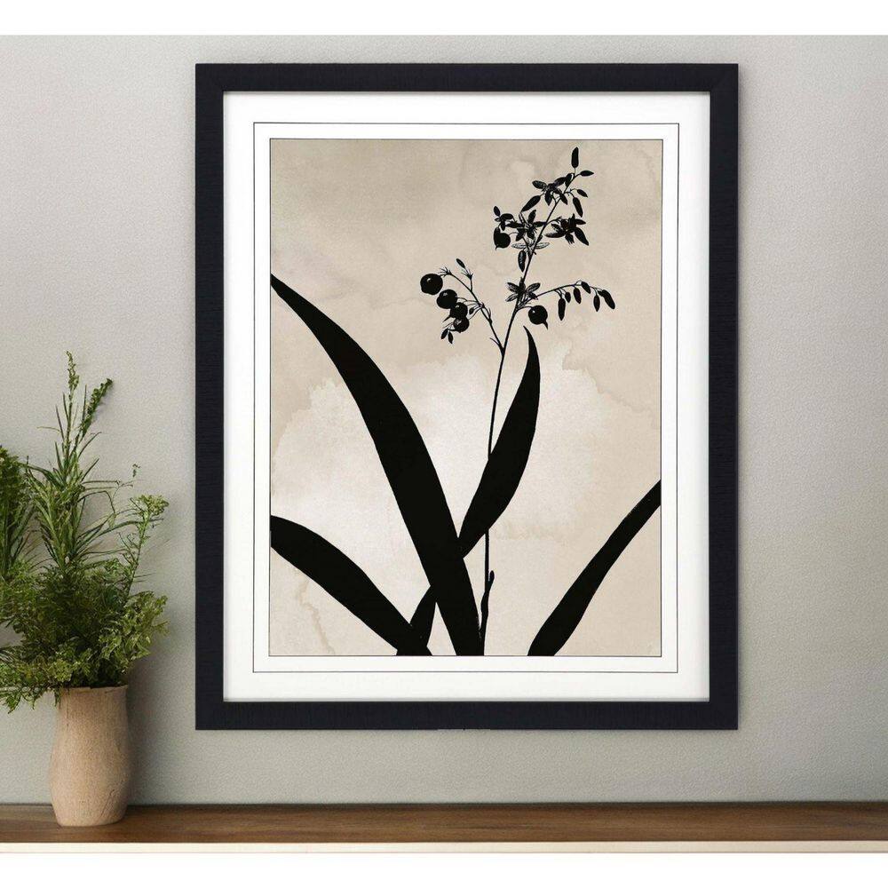 1 Piece Framed Graphic Print Plants & Flowers 41.00 in. x 33.00 in. price history on PriceWatchPro