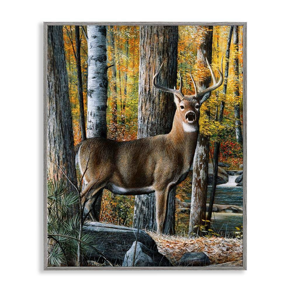 Deer Among Autumn Foliage by Kevin Daniel Gray Framed Graphic Animal Art Print 11 in. x 14 in. price history on PriceWatchPro