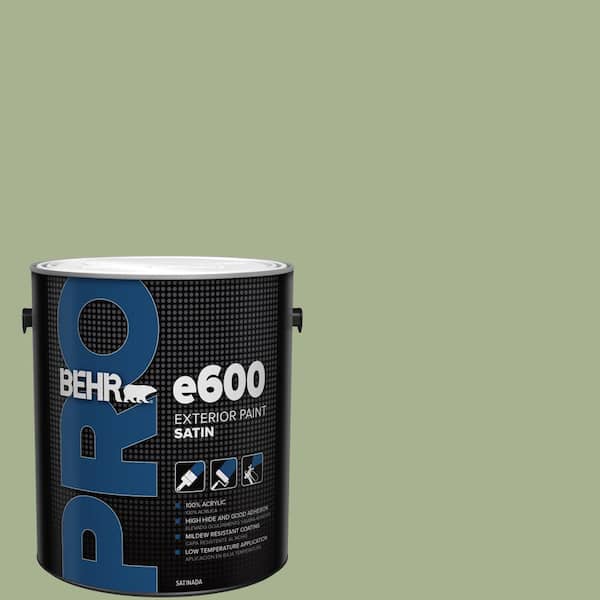 1 gal. #PPU11-06 Willow Grove Satin Exterior Paint