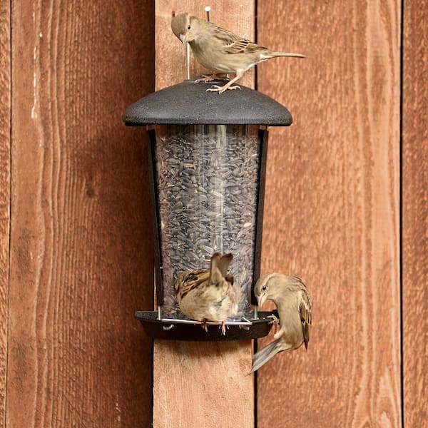 Wall and Post Mount Bird Feeder - 1.1 lb. Capacity
