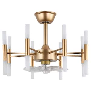 Modern 23 in. Indoor Gold Standard Reversible Ceiling Fan with Lights and Remote, Luxury 6-Speed Ceiling Fan