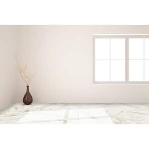 Sweden Alps 23.62 in. x 23.62 in. Polished Stone Look Porcelain Floor and Wall Tile (15.5 sq. ft./Case)