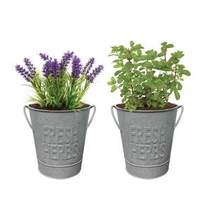 Herb Garden Kit with Aged Zinc Metal Planter (Mint and Lavender) (2-Pack)
