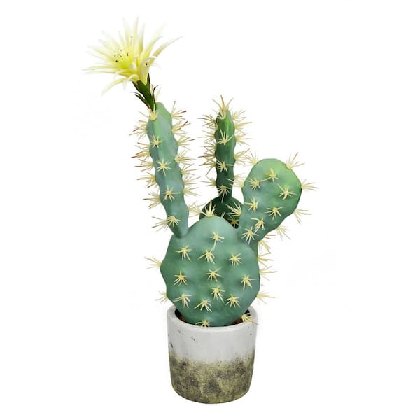 18 in. in Green Artificial Cactus in. in Cement Pot