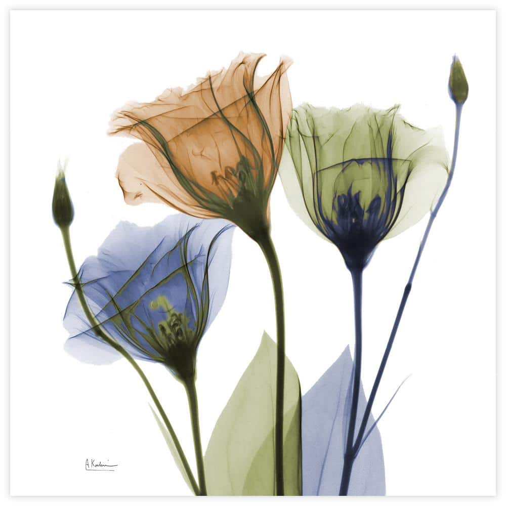 Gentian Buddies Multicolored Tempered Glass Wall Art, 24" x 24"