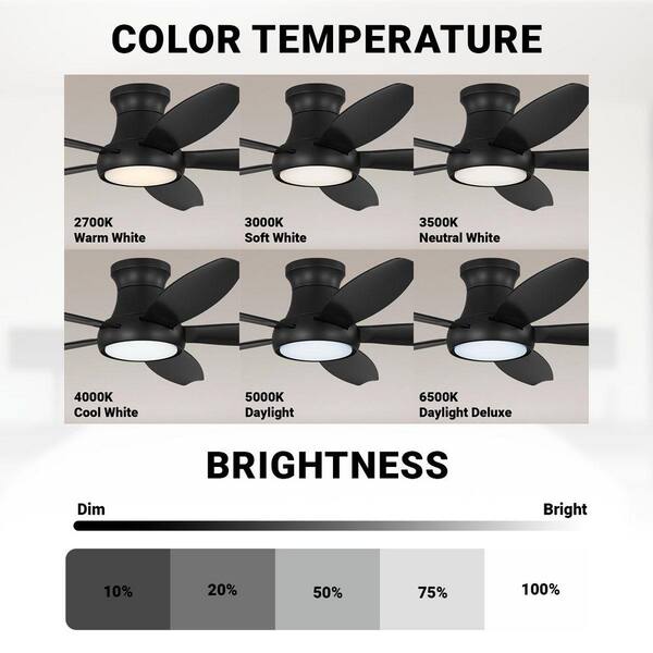 Hampton Bay Tamsin 52 in. Matte Black Flush Mount Standard Ceiling