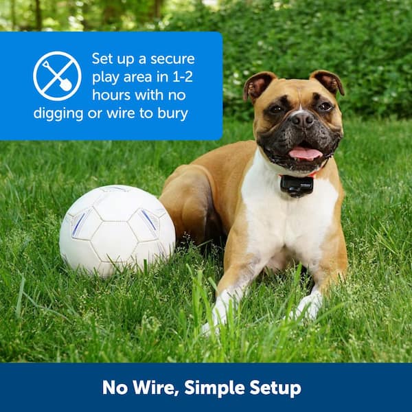 PetSafe Wireless Electric Dog Fence