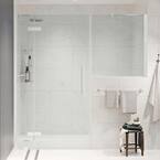 Ove Decors Tampa-pro 67 1 8 In. W X In. H Pivot Frameless Shower Door 