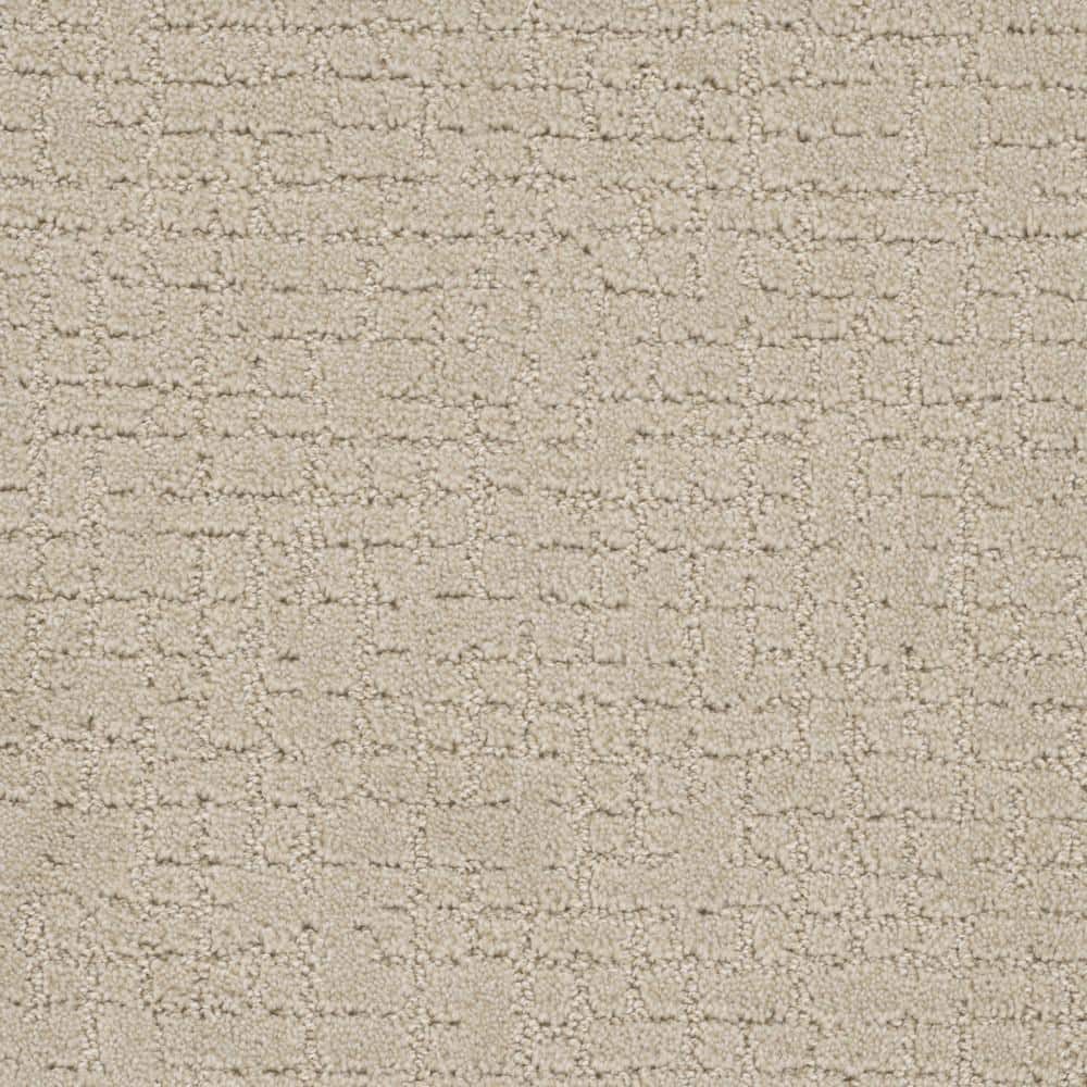 8 in. x  8 in. Pattern Carpet Sample - West Springs -Color Latte price history on PriceWatchPro