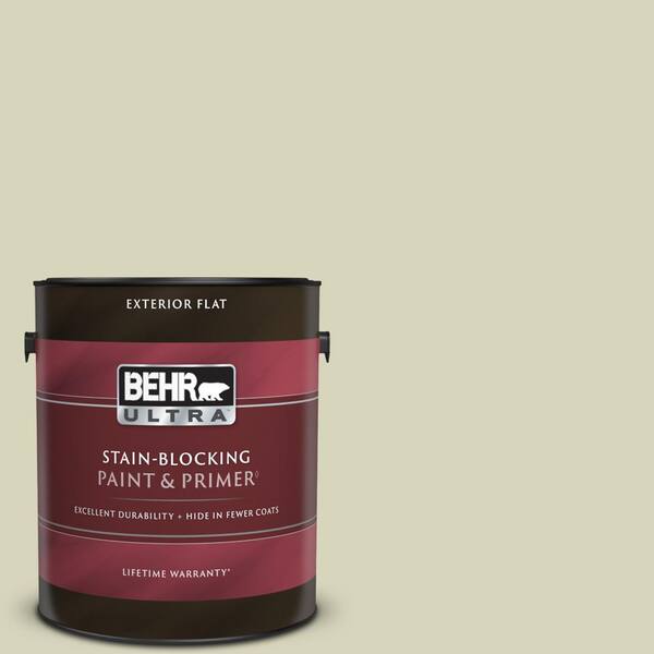 BEHR ULTRA 1 gal. Home Decorators Collection #HDC-SM14-9 Thin Mint Flat Exterior Paint & Primer