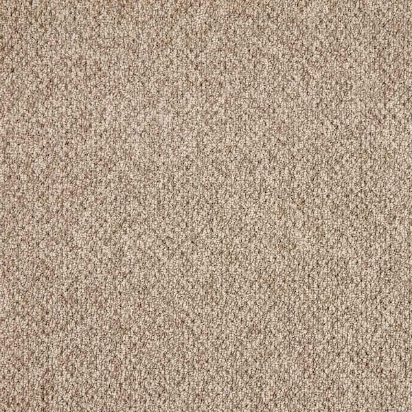 TrafficMaster Falhurst  - Hoot Owl - Brown 15 ft. 24 oz. Polyester Pattern Installed Carpet