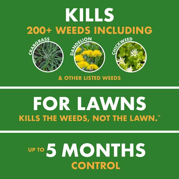 Weed Stop For Lawns Plus Crabgrass Preventer Granules (4-Pack)