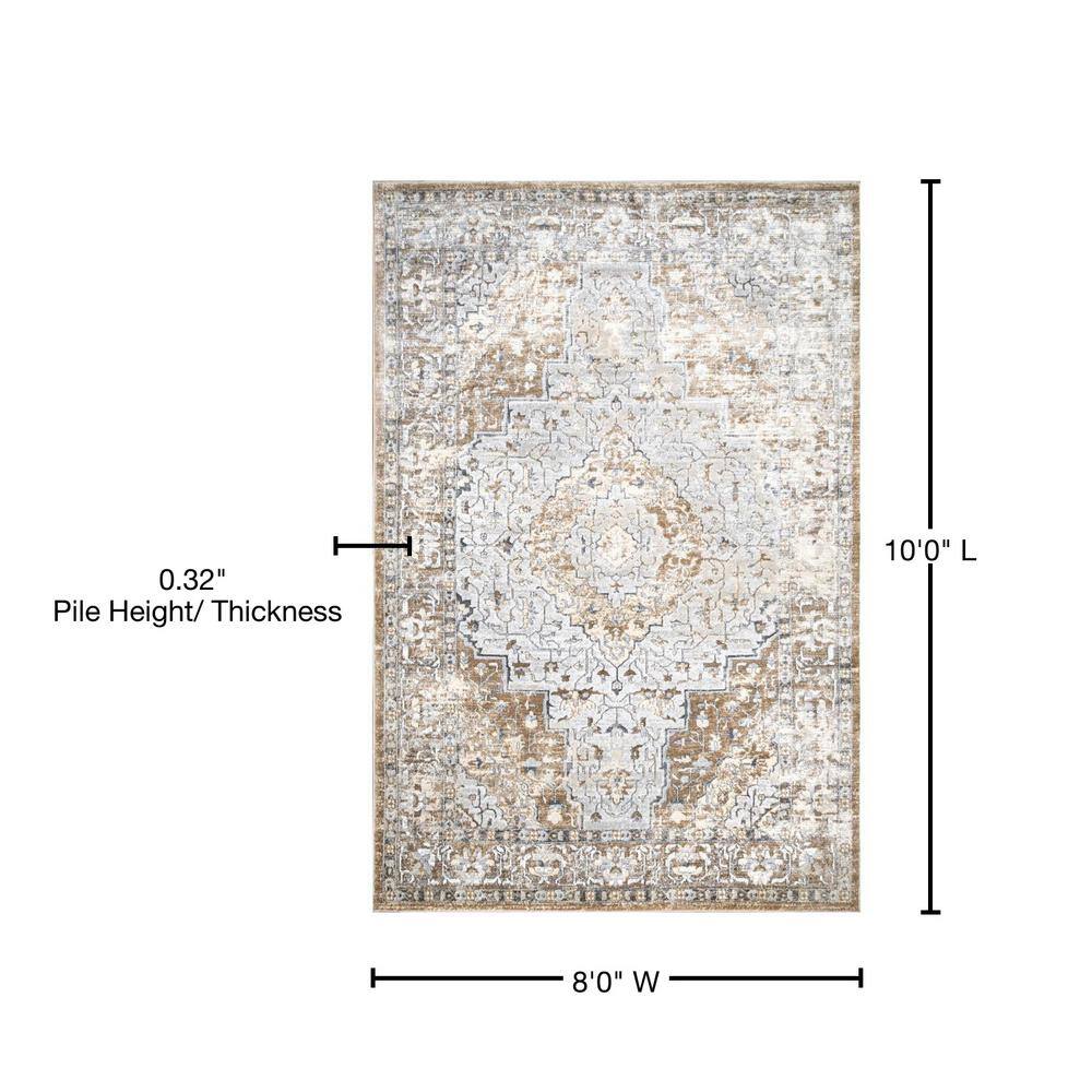 Vintage Light Gray Medallion Synthetic 8' x 10' Area Rug