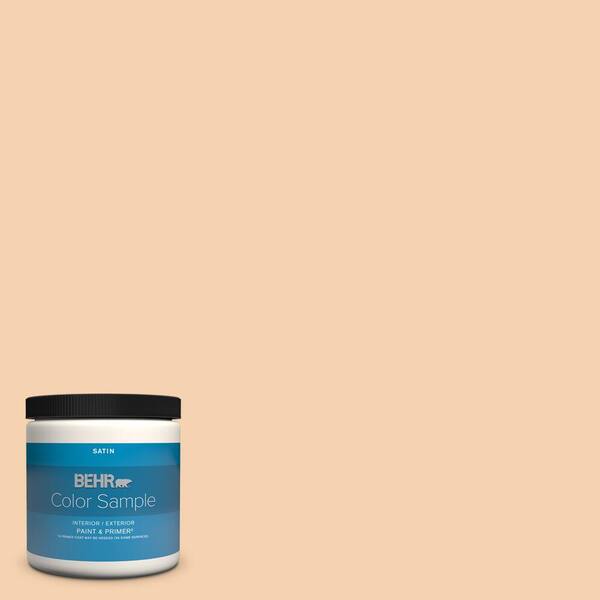 Behr Premium Plus 8 Oz Ppl 42 Warm Apricot Satin Enamel Interior Exterior Paint Primer Color Sample B370016 The Home Depot - Warm Apricot Paint Color Behr Premium Plus 8 Oz Ppl 42 Warm Apricot Satin Enamel Interior Exterior Paint Primer Color Sample B370016 The Home Depot - Warm Apricot Paint Color