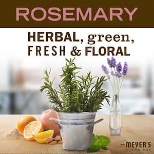 32 fl. oz. Multi-Surface Concentrate Rosemary