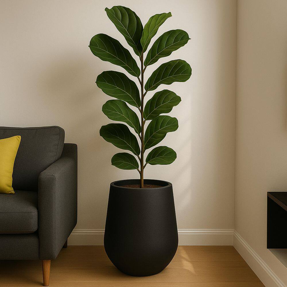 Orchid Modern Fiberstone and Clay Decorative Round Plant Pot with Drainage Holes (Black, 12 in. Wide) price history on PriceWatchPro