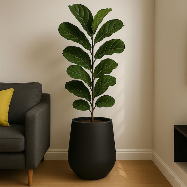 Orchid Modern Fiberstone and Clay Decorative Round Plant Pot with Drainage Holes (Black, 12 in. Wide)