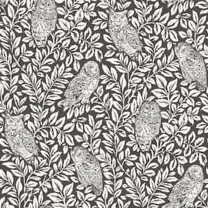 Charcoal Sleepy Owls Peel & Stick Grey Wallpaper Sample