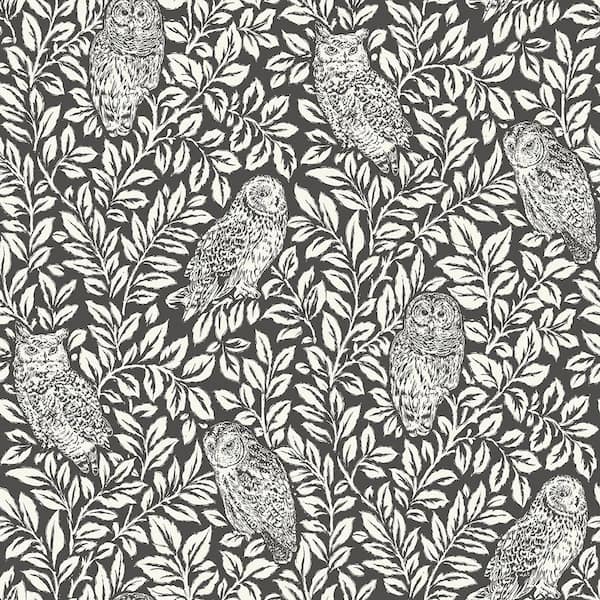 NuWallpaper Charcoal Sleepy Owls Peel & Stick Grey Wallpaper Sample