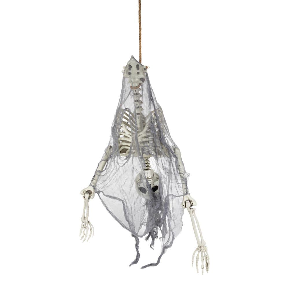 55.12 in Lighted Hanging Skeleton, Pooky Animated Decor price history on PriceWatchPro