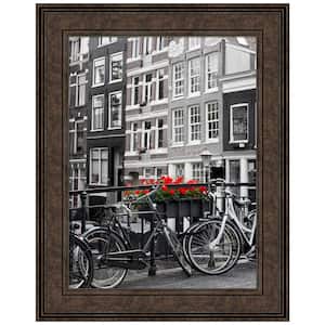 Opening Size 18 in. x 24 in. Ridge Bronze Picture Frame