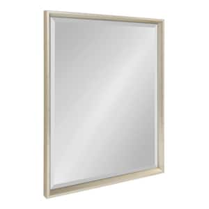 Calter 21.5 in. W x 27.5 in. H Framed Rectangular Beveled Edge Bathroom Vanity Mirror in Silver