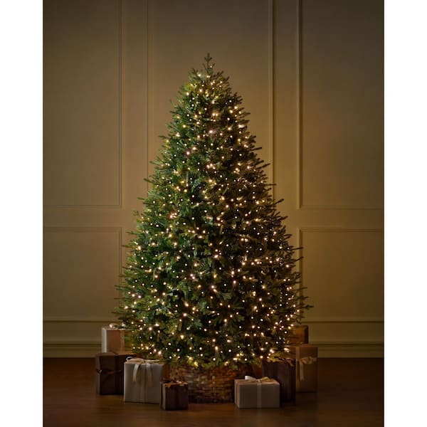 7.5 ft Ashford Twinkling Balsam Fir LED Pre-Lit Tree T35