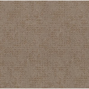 Elegant Dosinia - Boardwalk - Brown 48.8 oz. Nylon Pattern Installed Carpet
