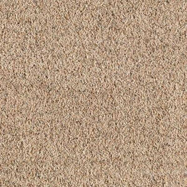 Lifeproof 8 in. x 8 in. Texture Carpet Sample - Kaa II -Color Birch Bark