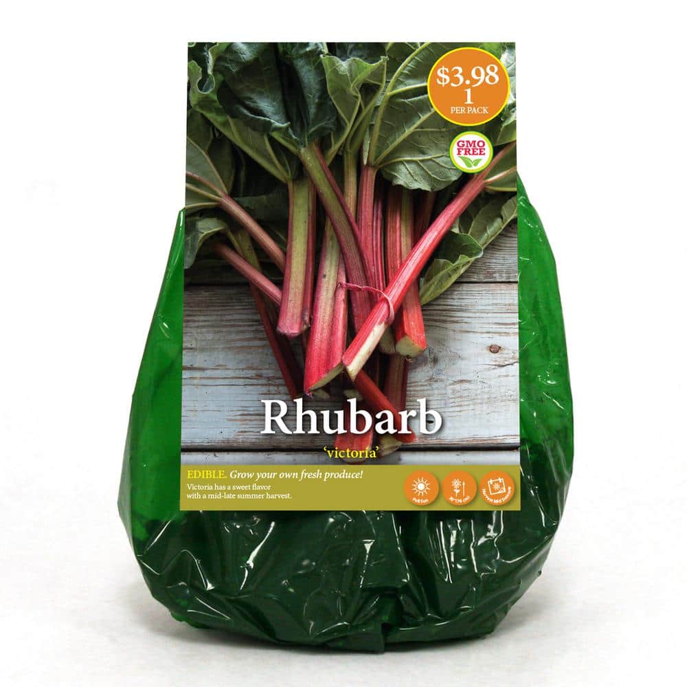 Red Victoria Rhubarb Bulb (1-Pack) 36797 - The Home Depot