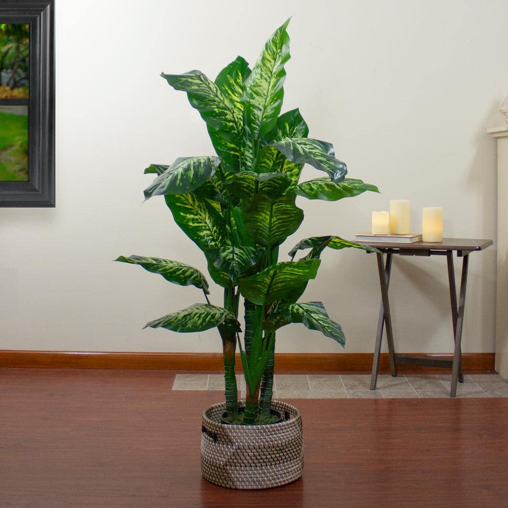 Northlight 58 in. Artificial Wide Leaf Green Dieffenbachia Potted Plant ...