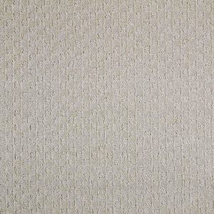 Shiloh Point  - Glacier - Gray 40 oz. Triexta Pattern Installed Carpet