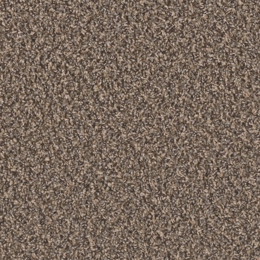 8 in. x  8 in. Texture Carpet Sample - Dream Wish -Color Wealth price history on PriceWatchPro