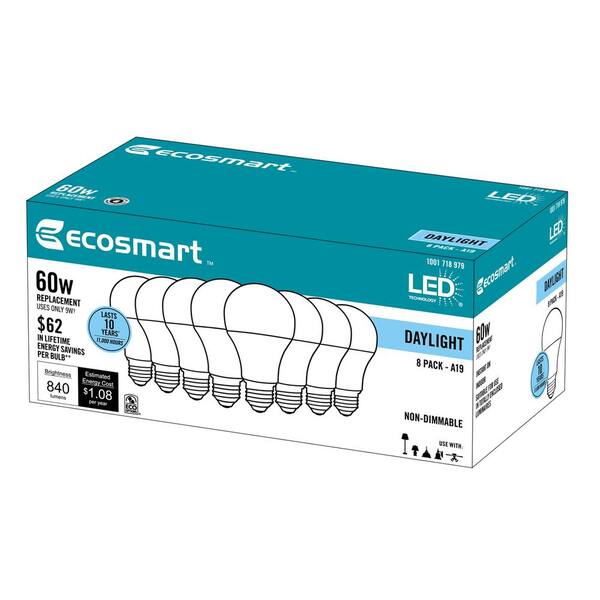 ecosmart 1001561229