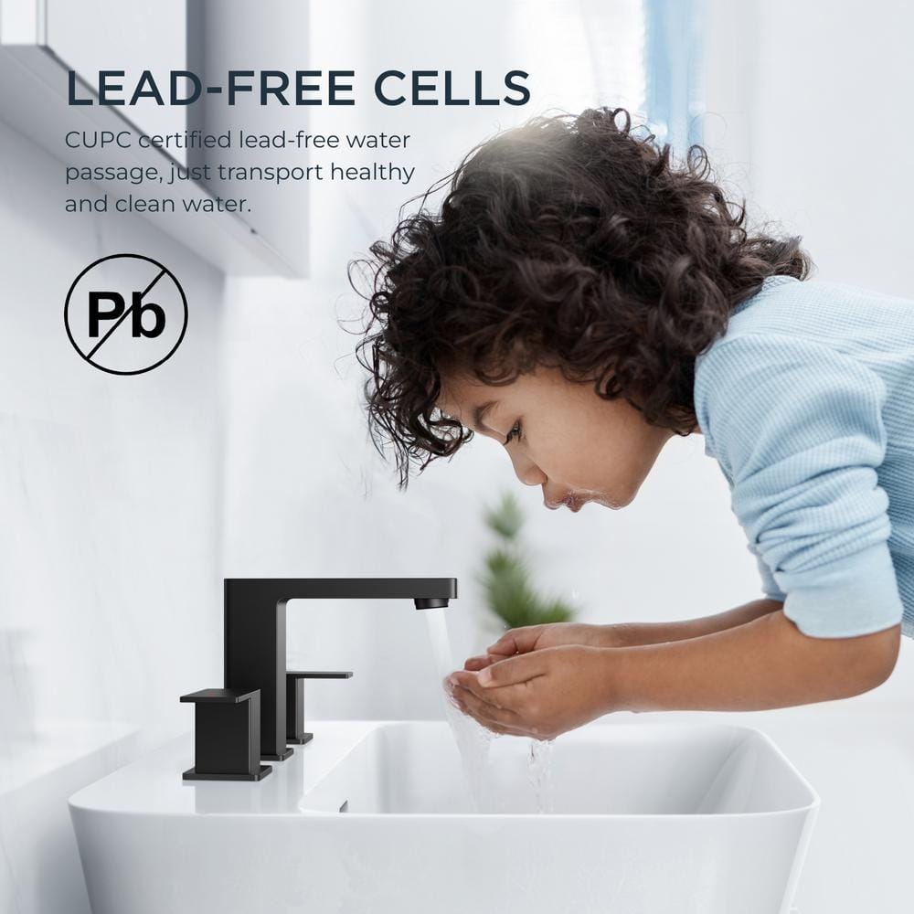Matte Black Stainless Steel Double Handle Bathroom Faucet
