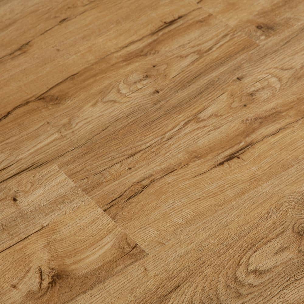 Take Home Sample-Route 66 European Oak 12 MIL x 9 in. W x 12 in. L Click Lo