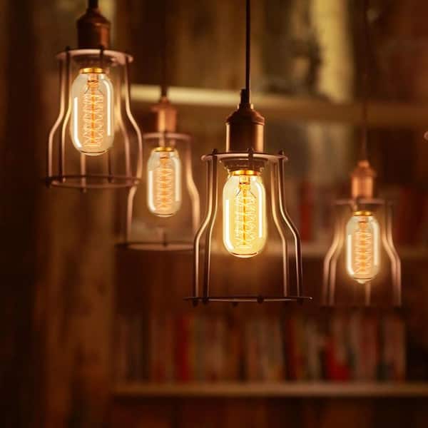 40-Watt T45 E26 Edison Dimmable Incandescent Light Bulb Warm White 2700K (4-Pack)
