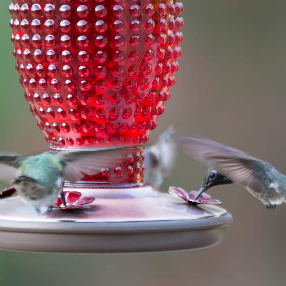 Red Hobnail Glass and Metal Hanging Hummingbird Feeder