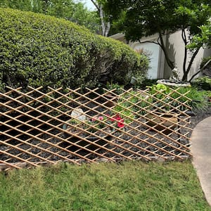 48 in. H Expandable Willow Trellis or Border