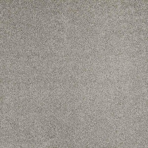 Phenomenal II  - Silverado - Gray 62.7 oz. Triexta Texture Installed Carpet