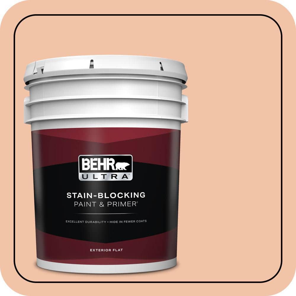5 gal. Home Decorators Collection #HDC-FL13-4 Pumpkin Mousse Flat Exterior Paint & Primer price history on PriceWatchPro