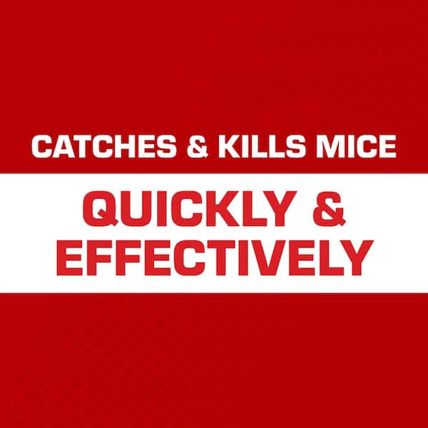 TOMCAT - Press 'N Set Mouse Trap, Plastic, Spring-Loaded Mouse Killer with Grab-Tab Pest Repellant Trap (2-Pack)