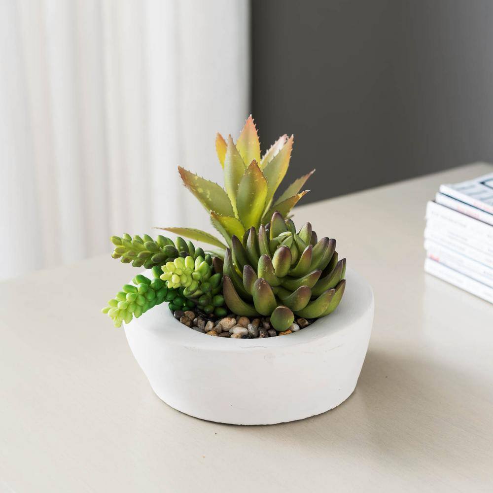 Indoor Tabletop Artificial Succulent Arrangement 10157 - The Home Depot