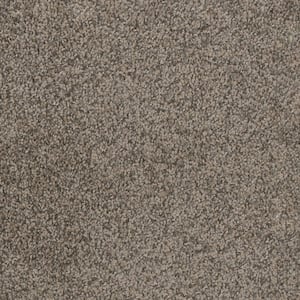 Otis - Popular - Gray 40 oz. SD Polyester Texture Installed Carpet