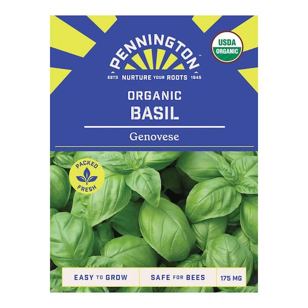Pennington Organic Basil Genovese Herb Seed