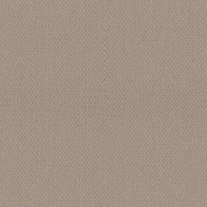 Hickory Lane - Fawn - Beige 32.7 oz. SD Polyester Loop Installed Carpet