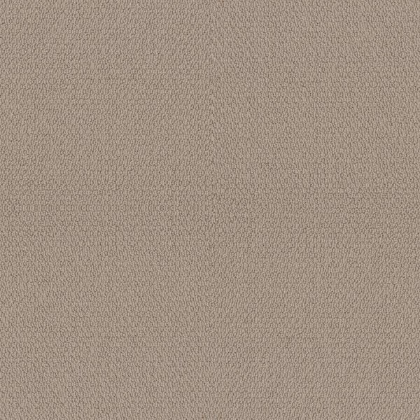 Home Decorators Collection Hickory Lane - Fawn - Beige 32.7 oz. SD Polyester Loop Installed Carpet