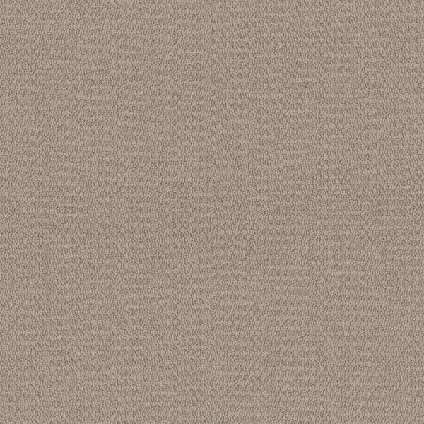 Lifeproof Summerville - Color Sunflower Seeds Loop Beige Carpet