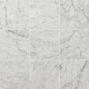 Carrara White 12 in. x 12 in. Polished Marble Stone Look Floor and Wall Tile (10 sq. ft./Case)
