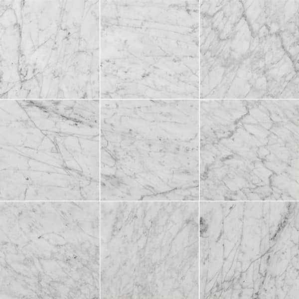 MSI Carrara White 12 in. x 12 in. Polished Marble Stone Look Floor and Wall Tile (10 sq. ft./Case)